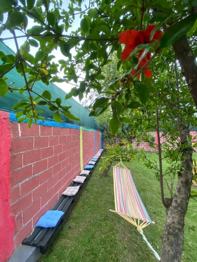 The Hood - Shkodra Backpackers Hostel Exteriér fotografie